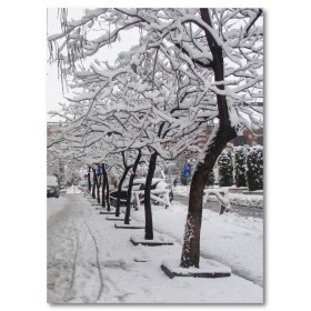 Αφίσα (χιόνι, δρόμος, δέντρο, χειμώνας)